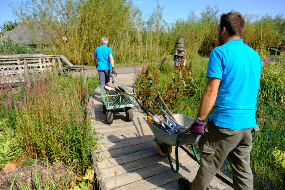 Reserves Support (London Wetland Centre)